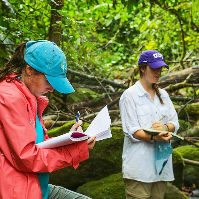 Students writing notes in the forrest creek bed