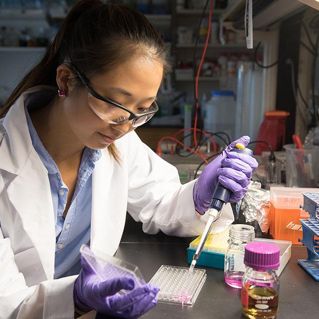 A biology student carefully places samples into a tray